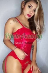 Beautiful escort cat in Mayone with the right placement and curves.