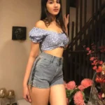 New Deep Nagar Ludhiana Escort and Call Girls Service